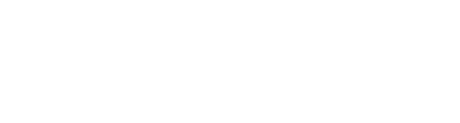 Logo enlight
